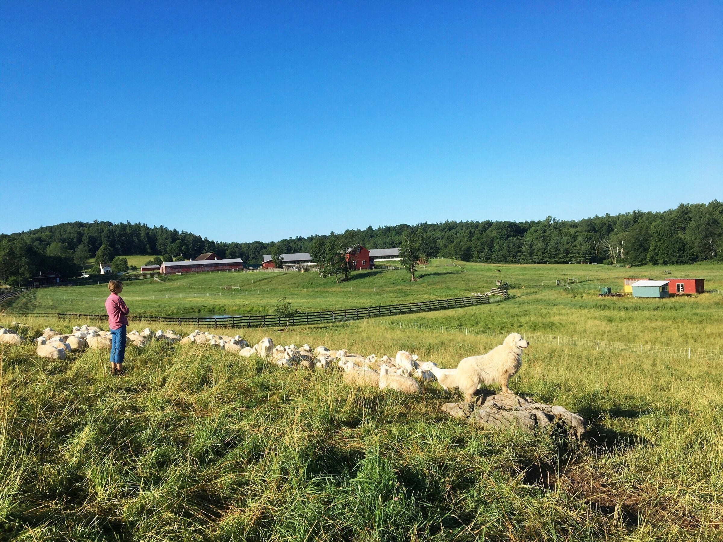 Artisan Goods – Honest Pastures Family Farm