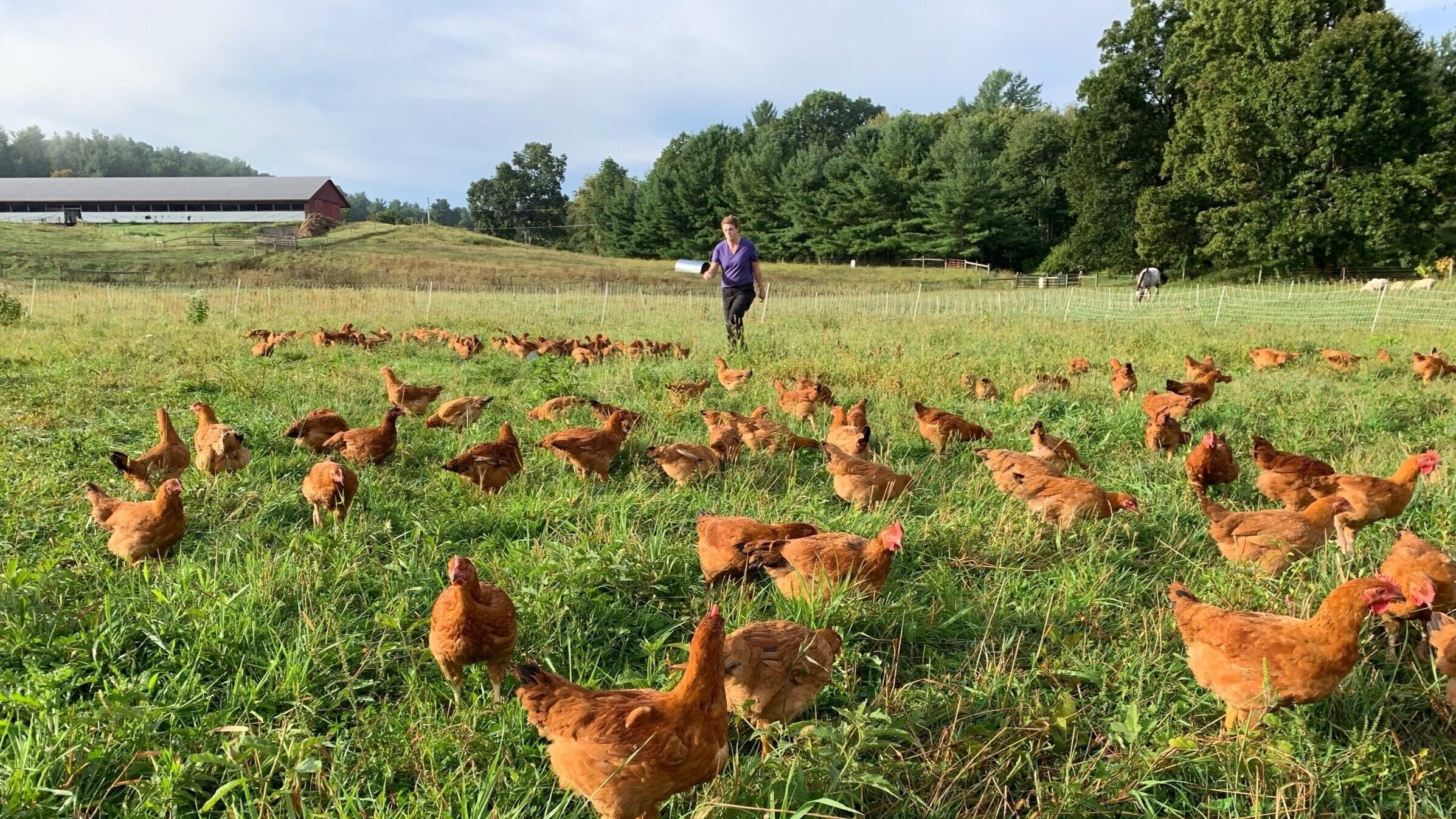 Artisan Goods – Honest Pastures Family Farm